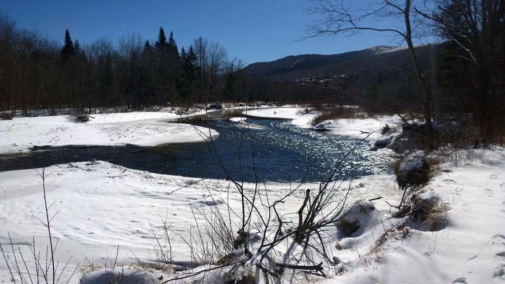 Moose Lodge - Image 49