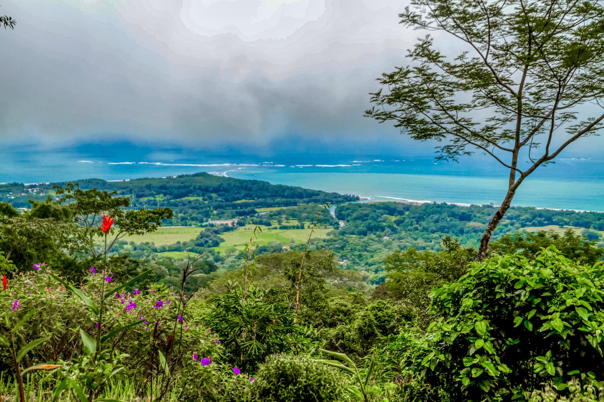 Casa Moses - Image 20