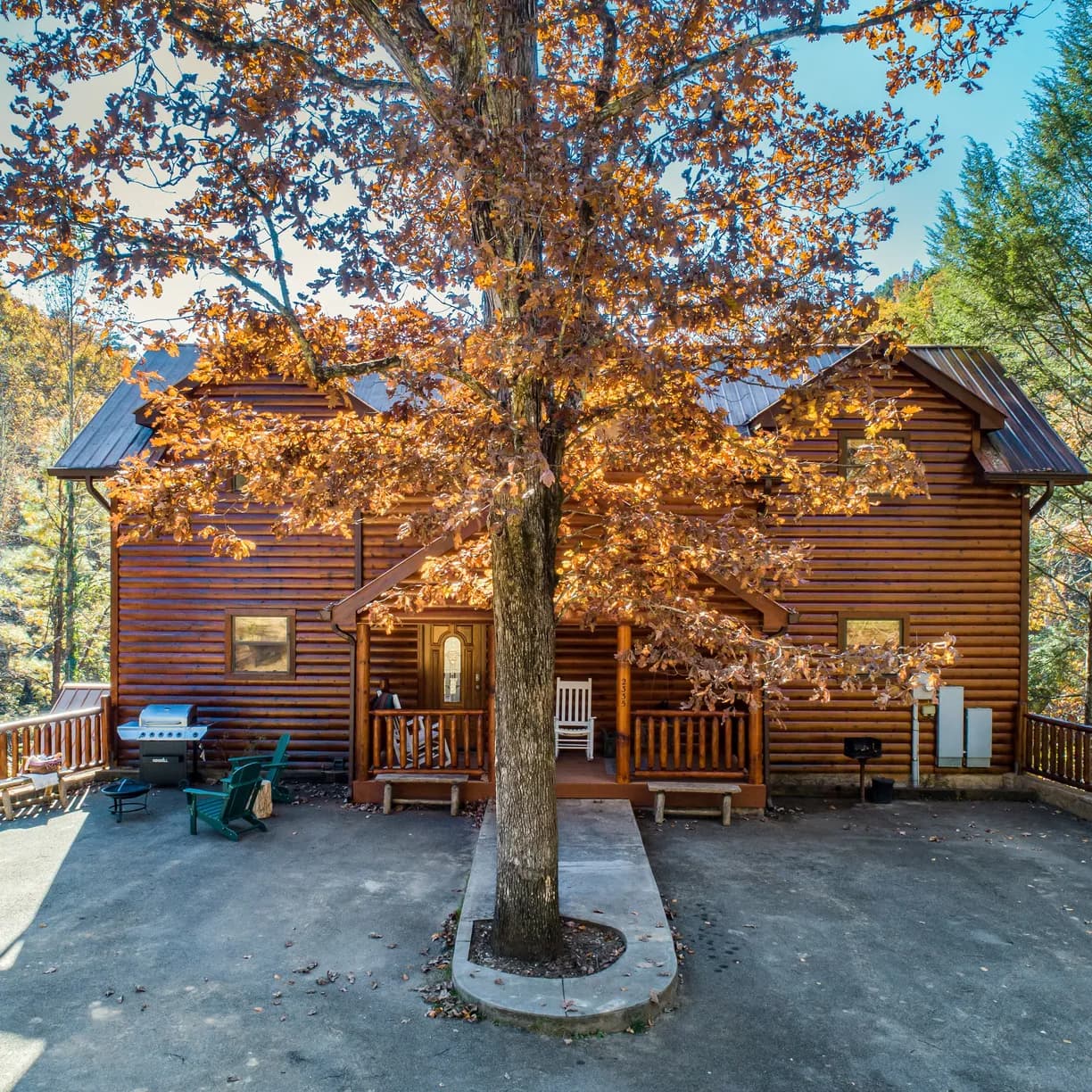 Hazel Haven - Image 4