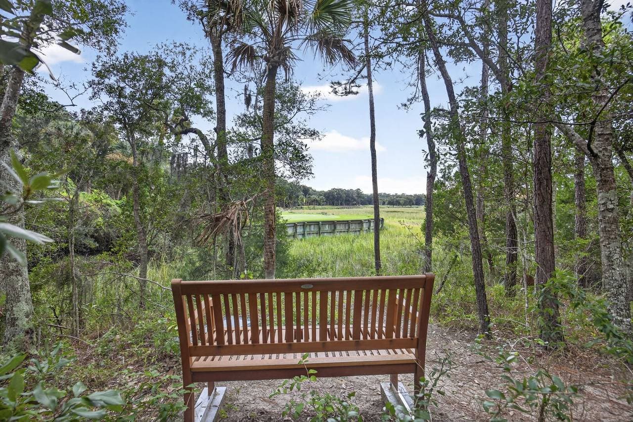 Marsh Hawk - Image 52