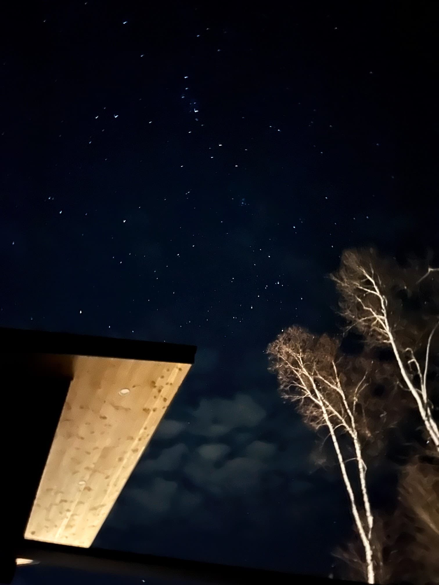 Maple Lodge - Image 23