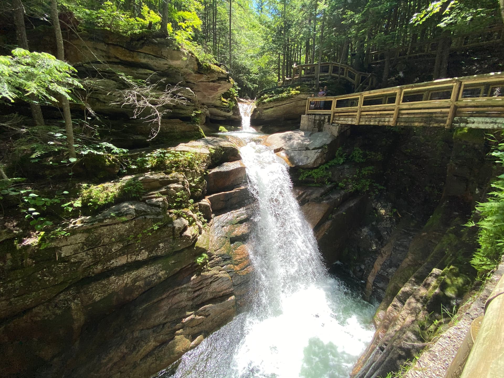 Maple Lodge - Image 60