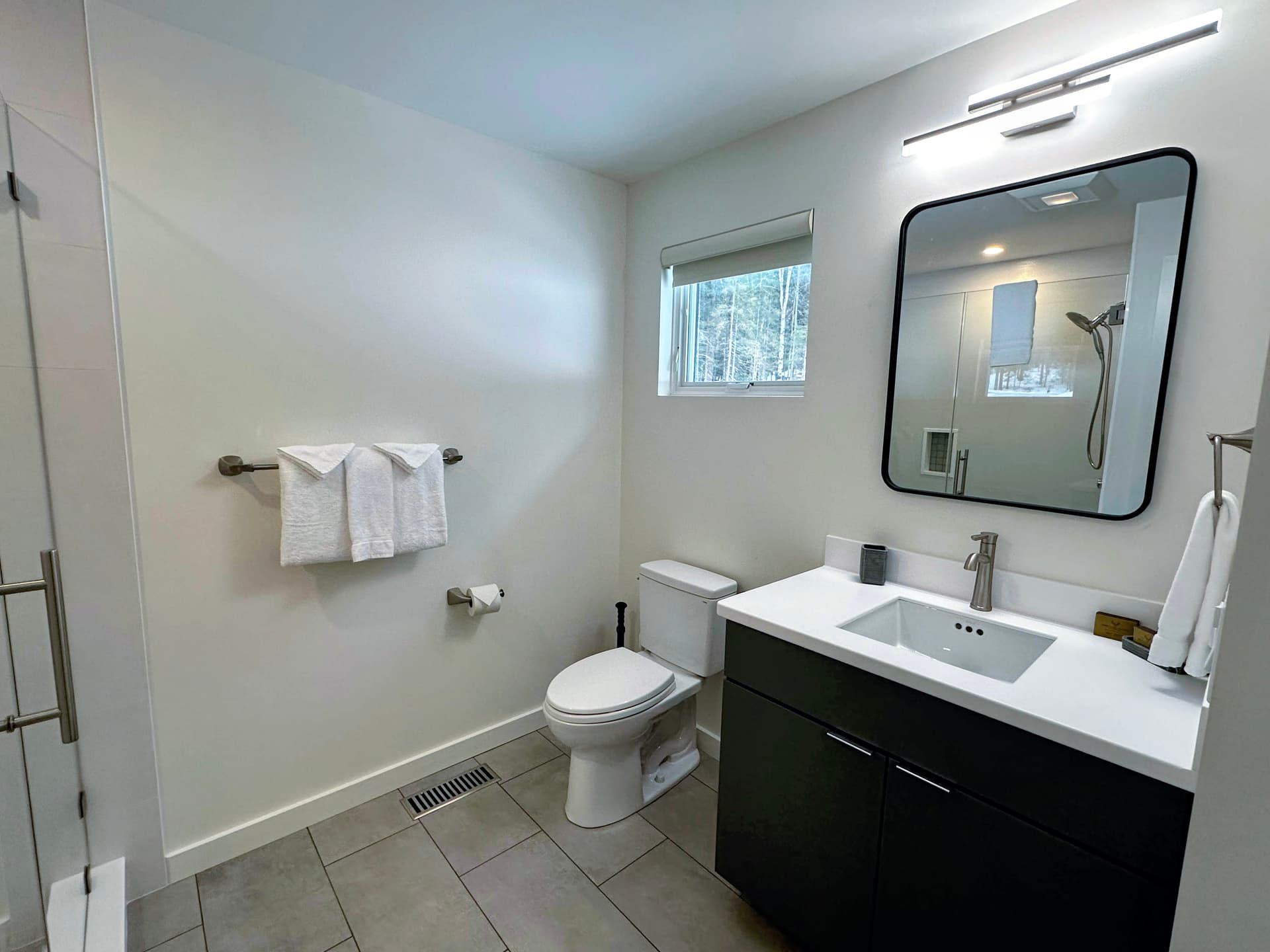 Hollow Tree Home - Image 12