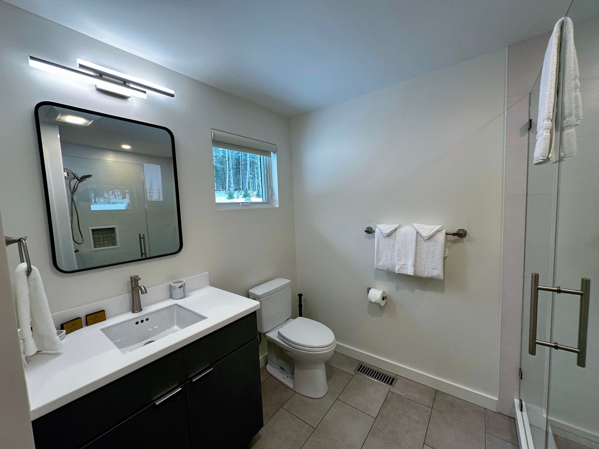 Hollow Tree Home - Image 18