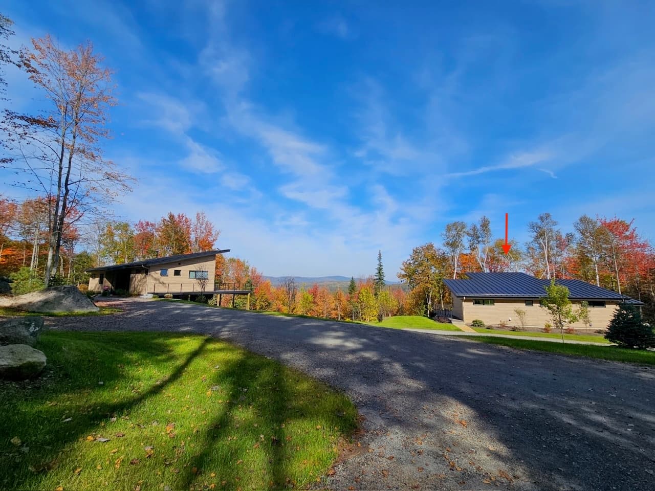 Hollow Tree Home - Image 20