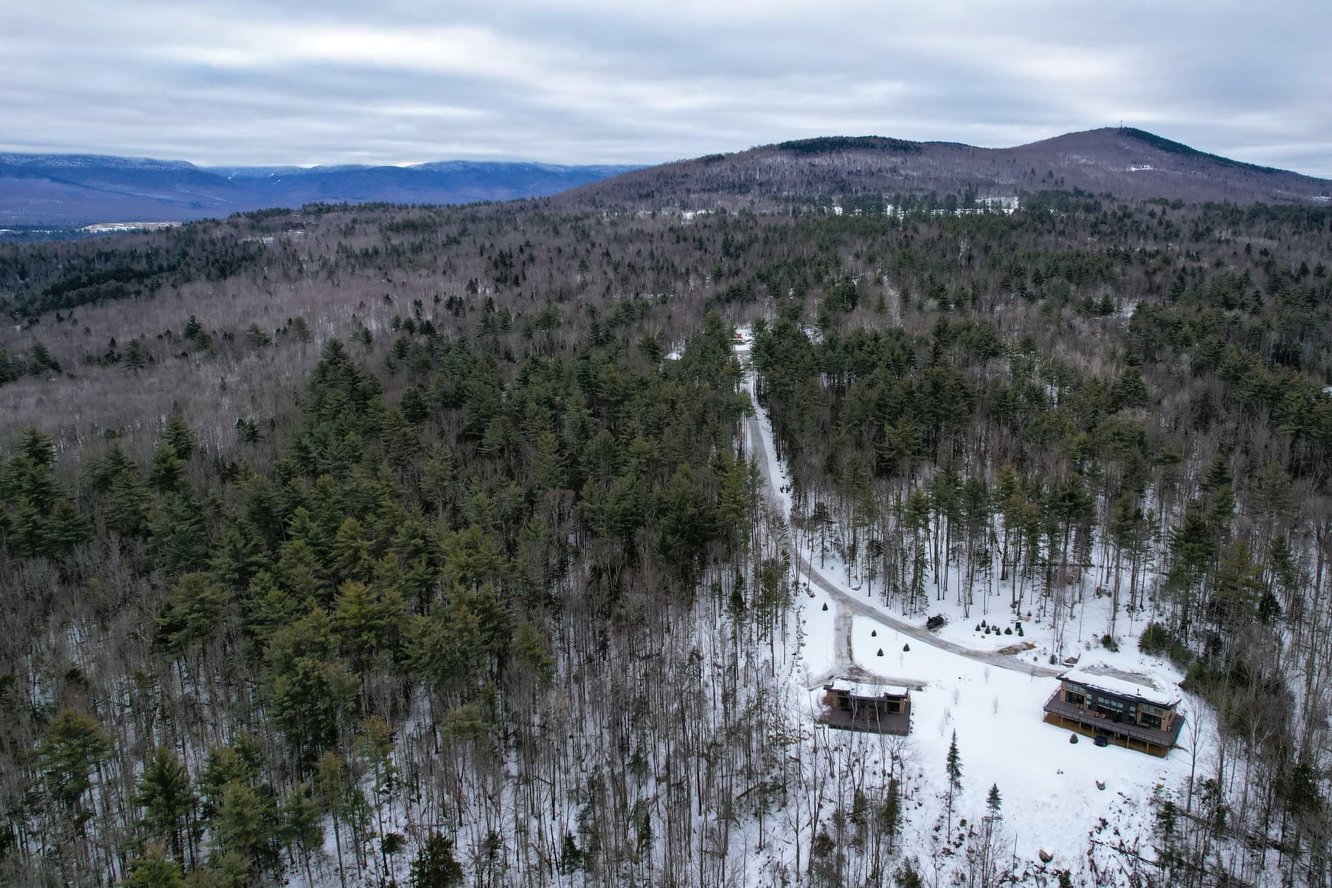 Hollow Tree Home - Image 3
