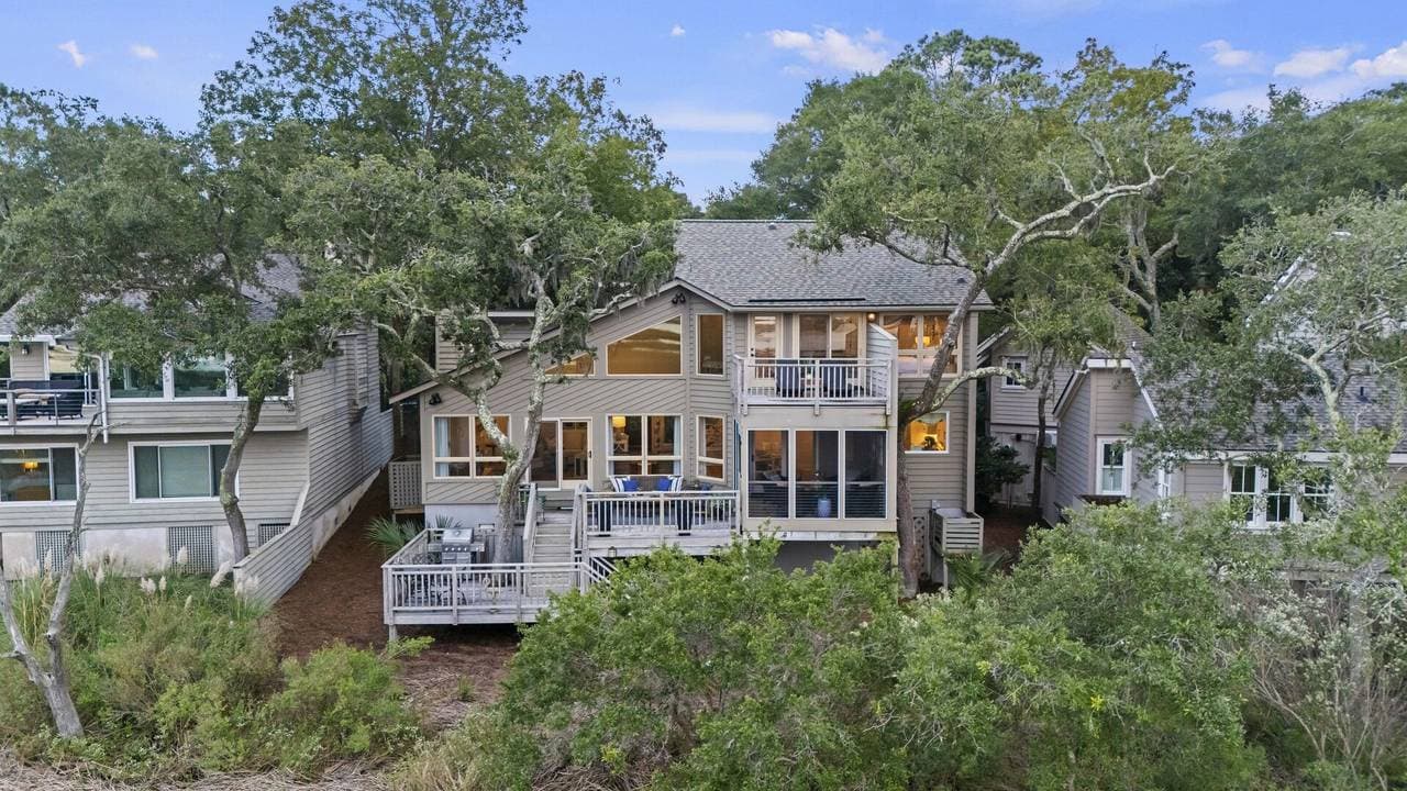 Marsh Hawk - Image 2