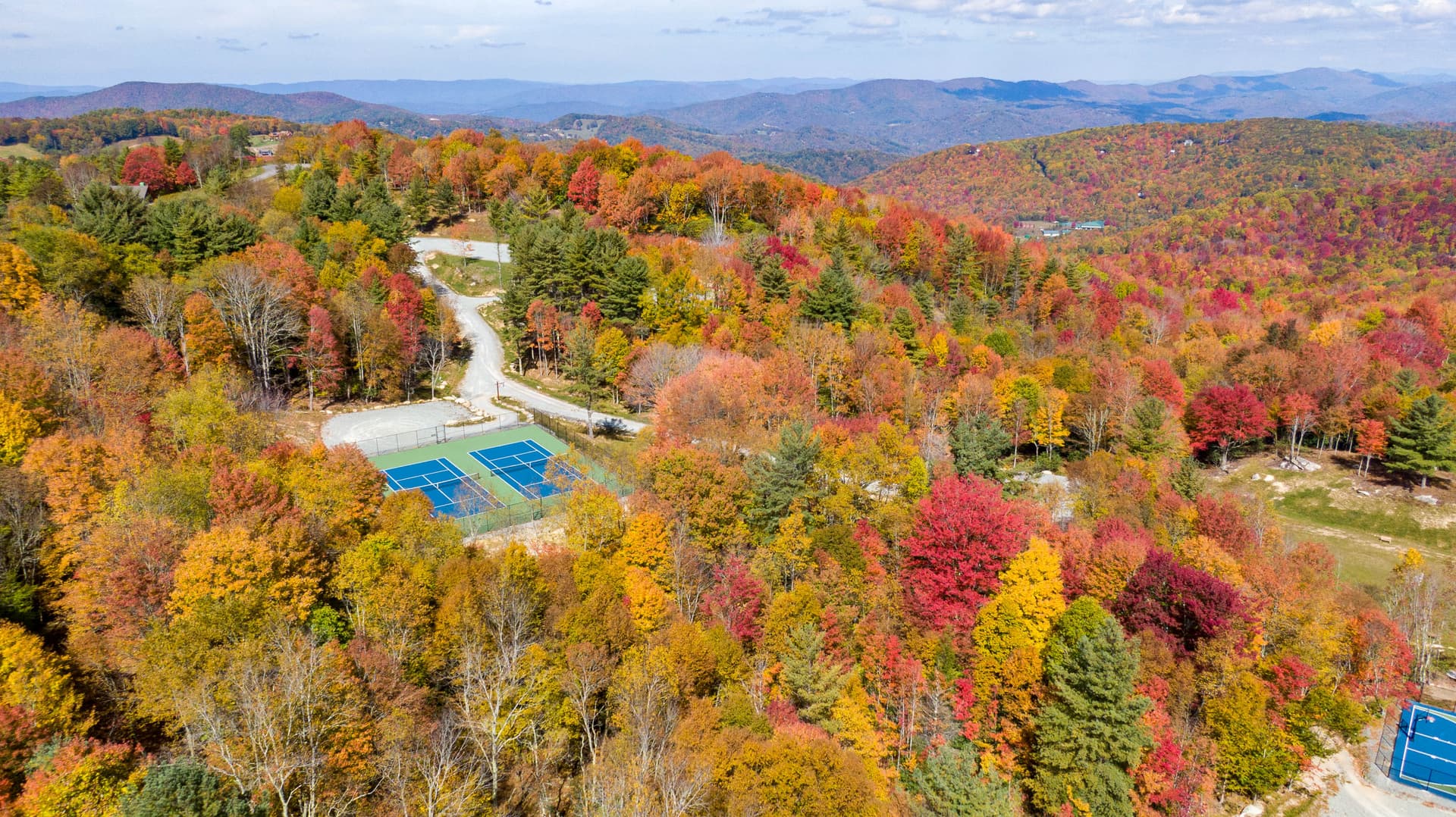 Two Bears Home - Image 2