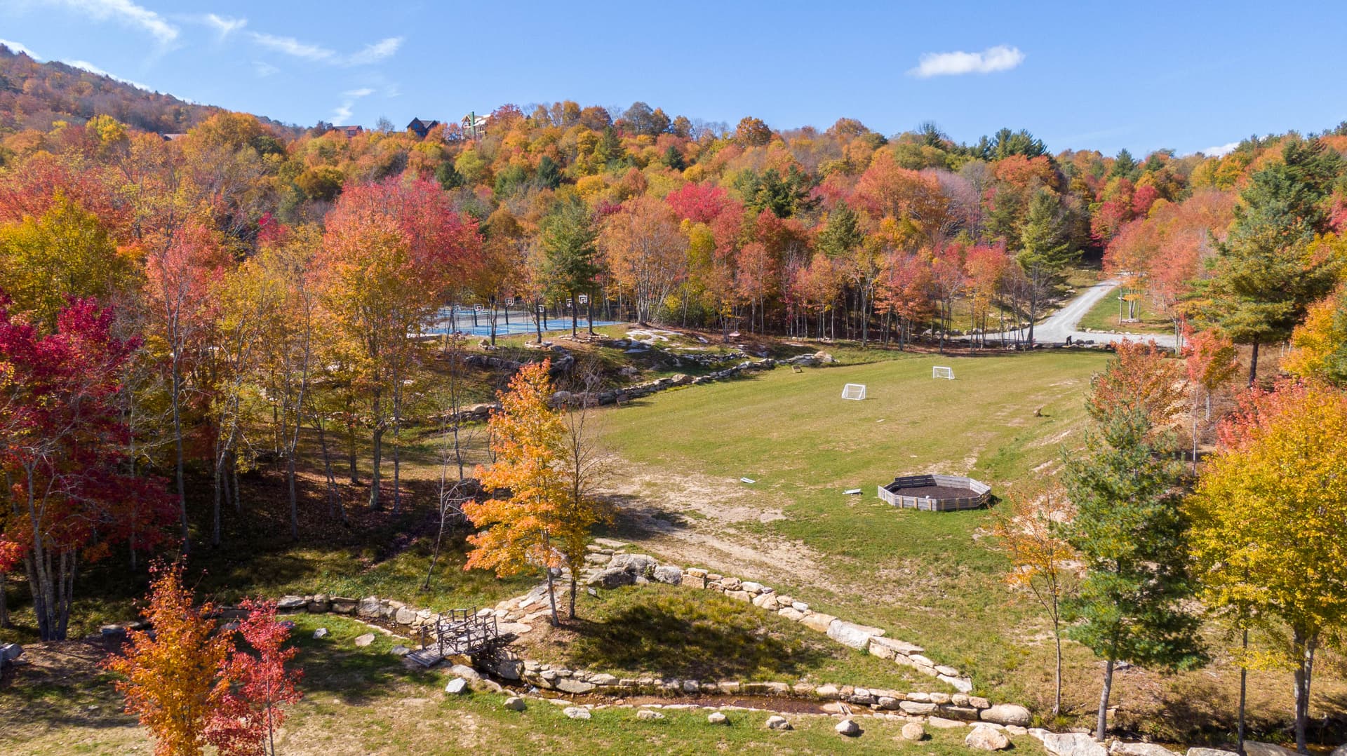 Two Bears Home - Image 17