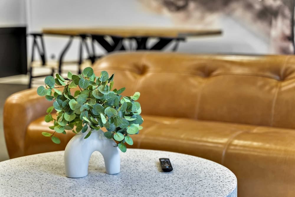 City Jam House - Image 5