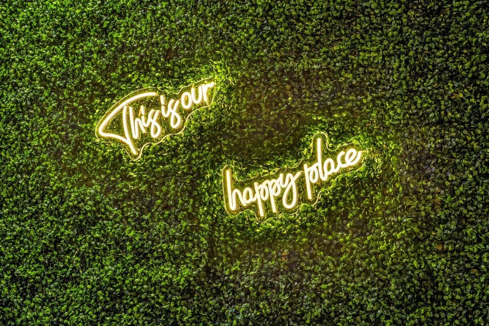 City Jam House - Image 98