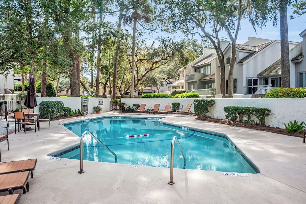 Turtle Lane #201 - Image 3