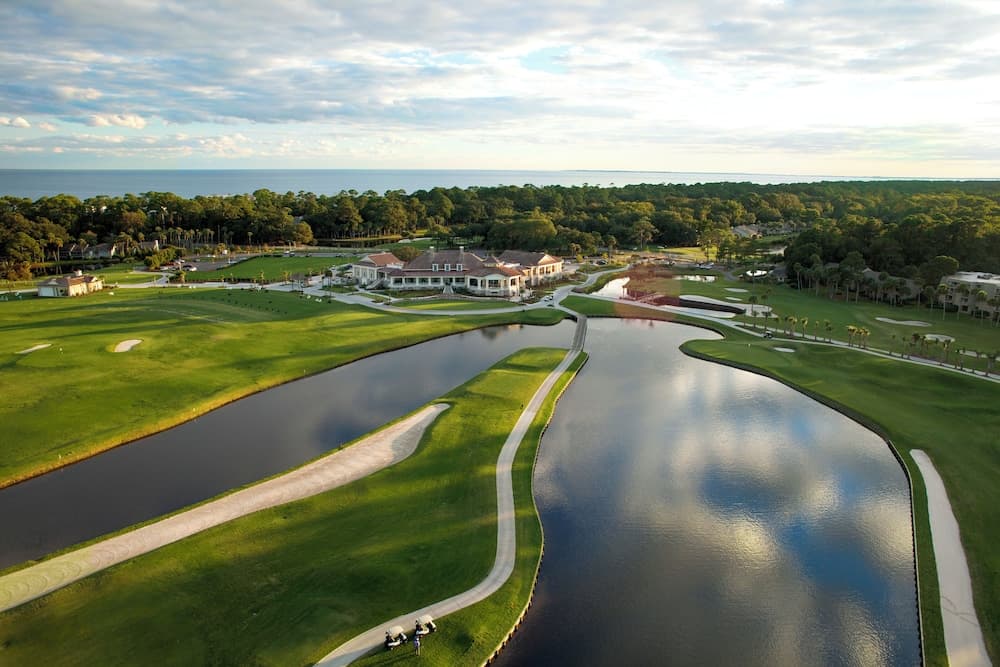 Turtle Lane #201 - Image 27