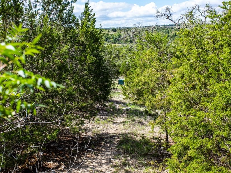 Honey Creek - Image 21