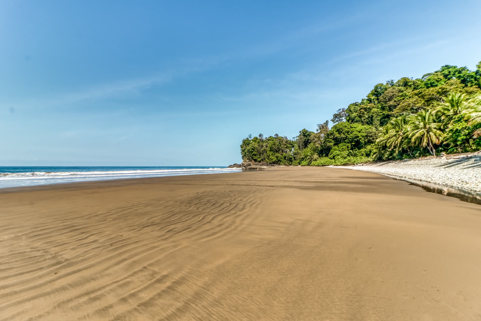 Casa Ballena Pearl - Image 27