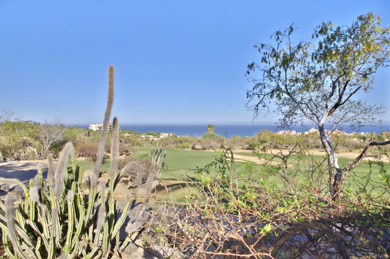 Tortuga Place - Image 60