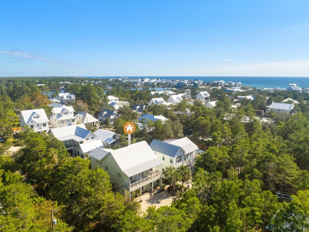 Under the Palms - Image 3