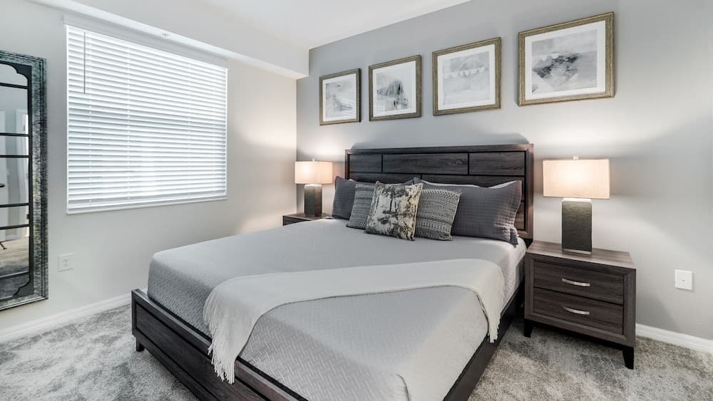 Paradox Circle #102 - Image 12