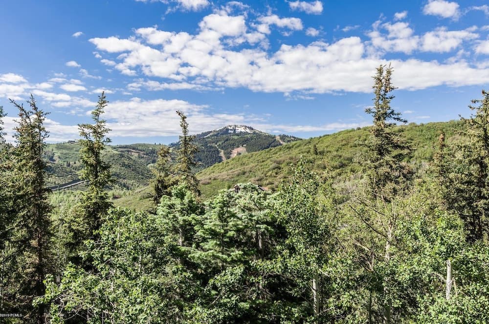 Sun Ridge - Image 23