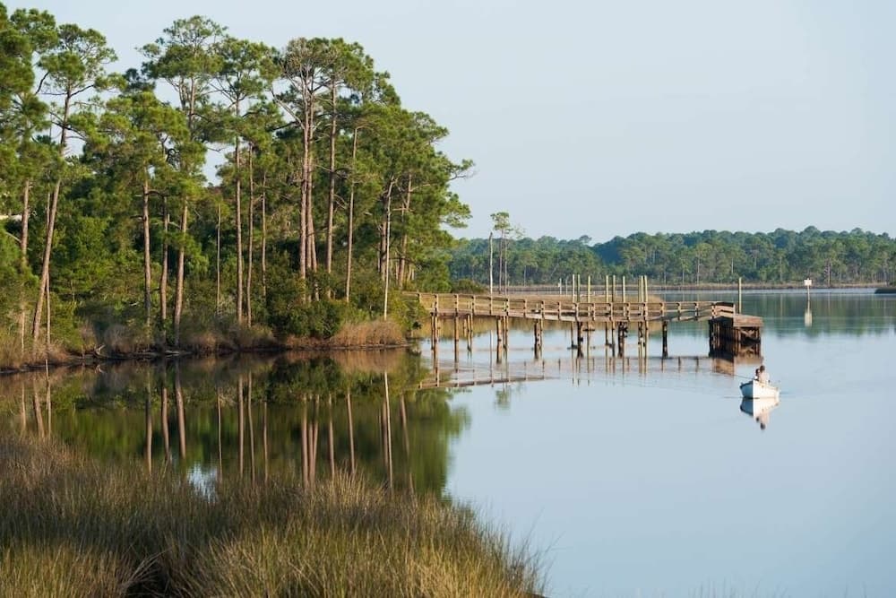 Willow Tide - Image 2