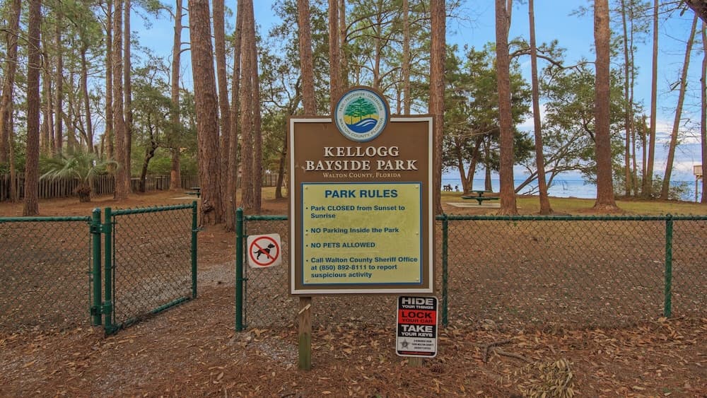 Bayfront Dream - Image 40