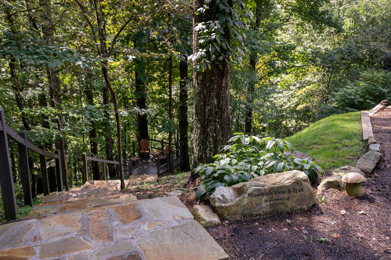 Papa's View - Image 43