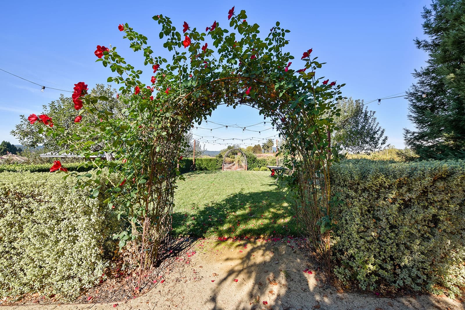 Dalya Estate - Image 62