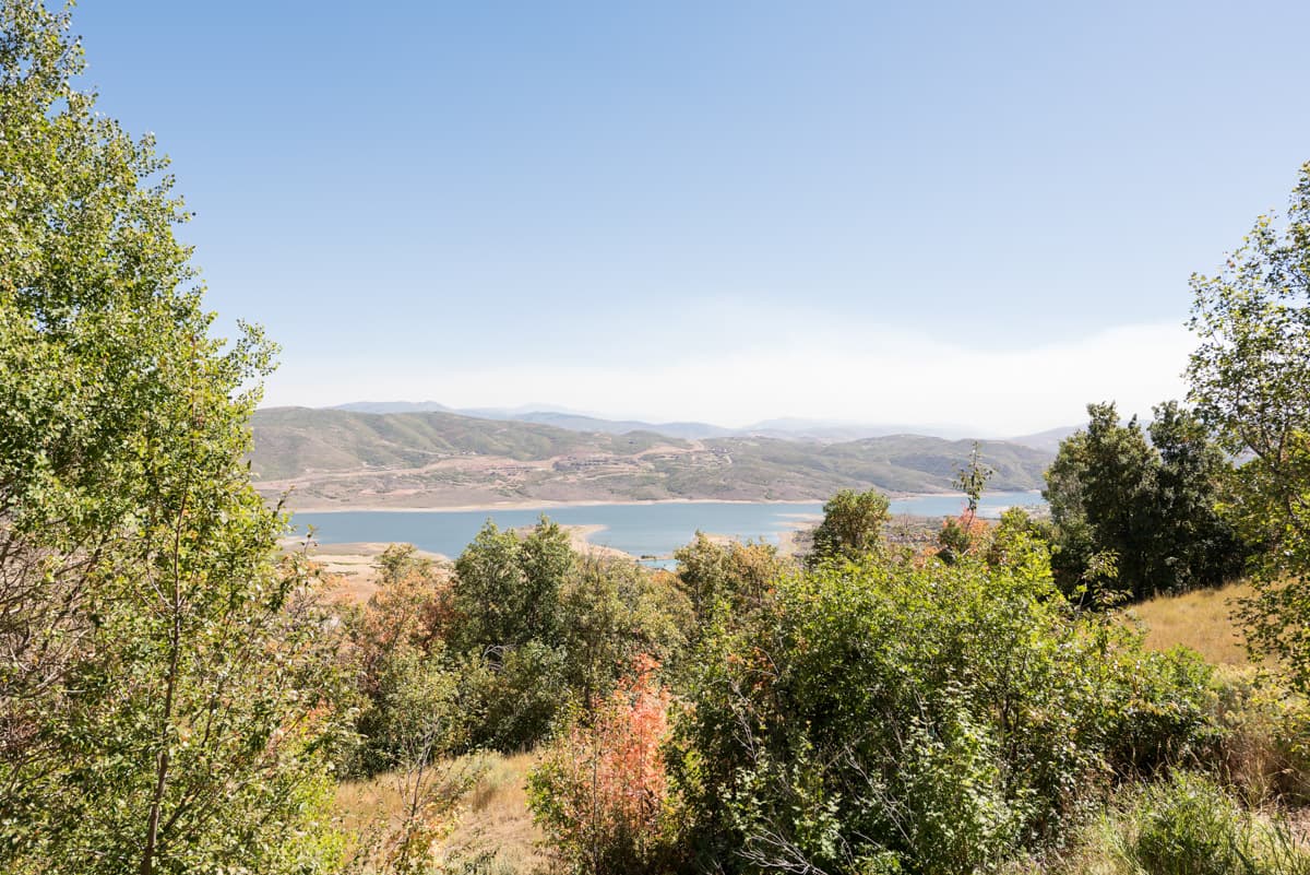 Mountain Glade - Image 50