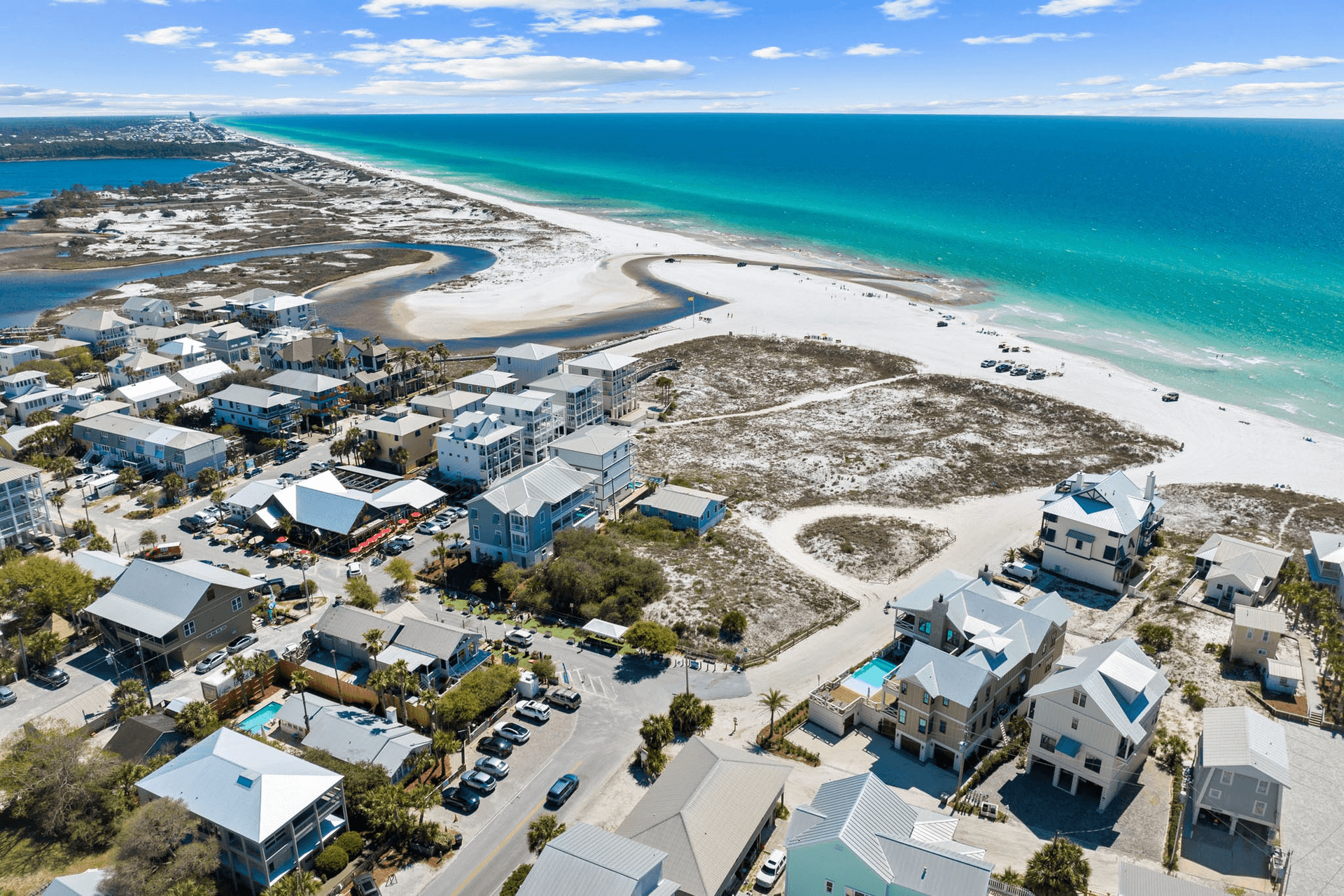 Blue Pearl - Image 49