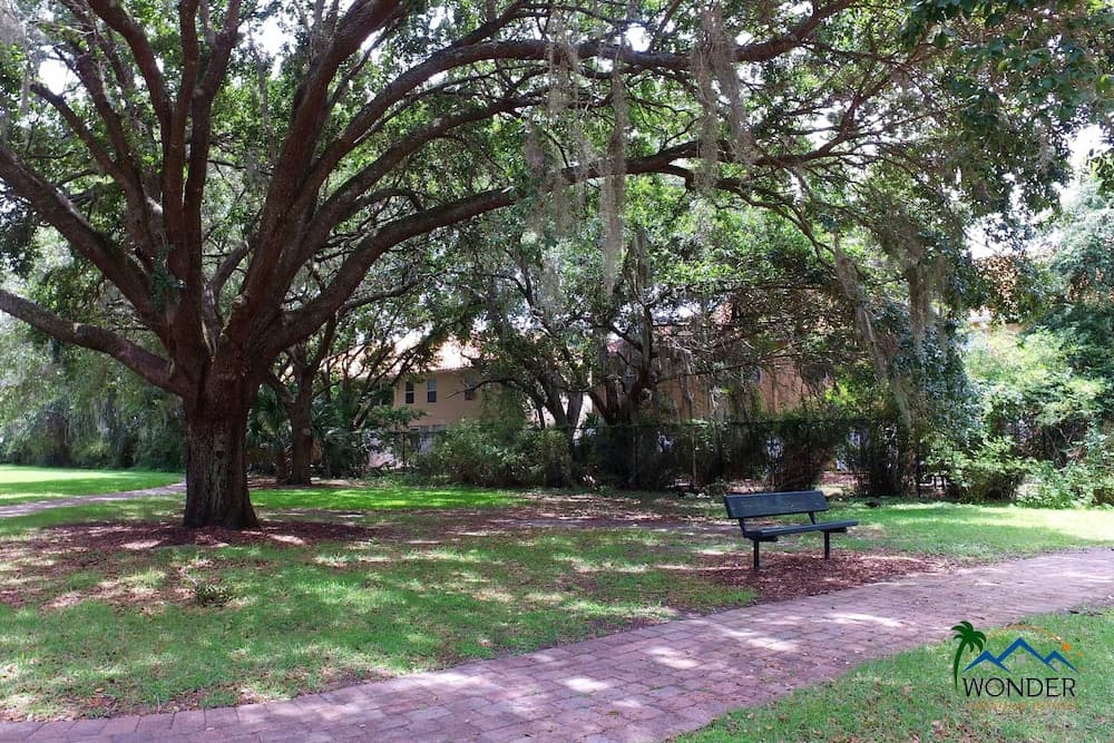 Enchanted Disney - Image 32