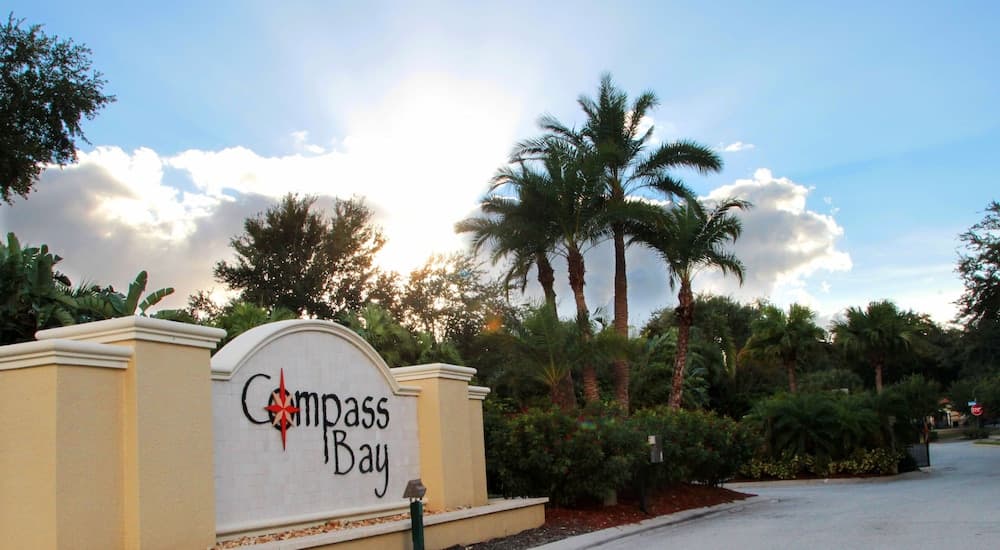 Enchanted Disney - Image 26