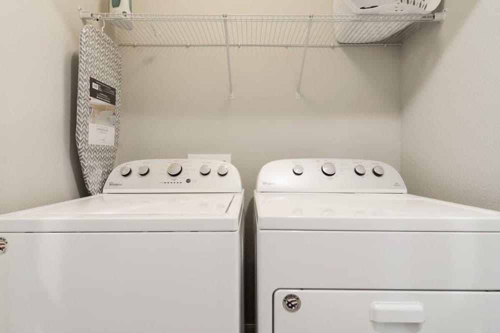 Enchanted Disney - Image 21