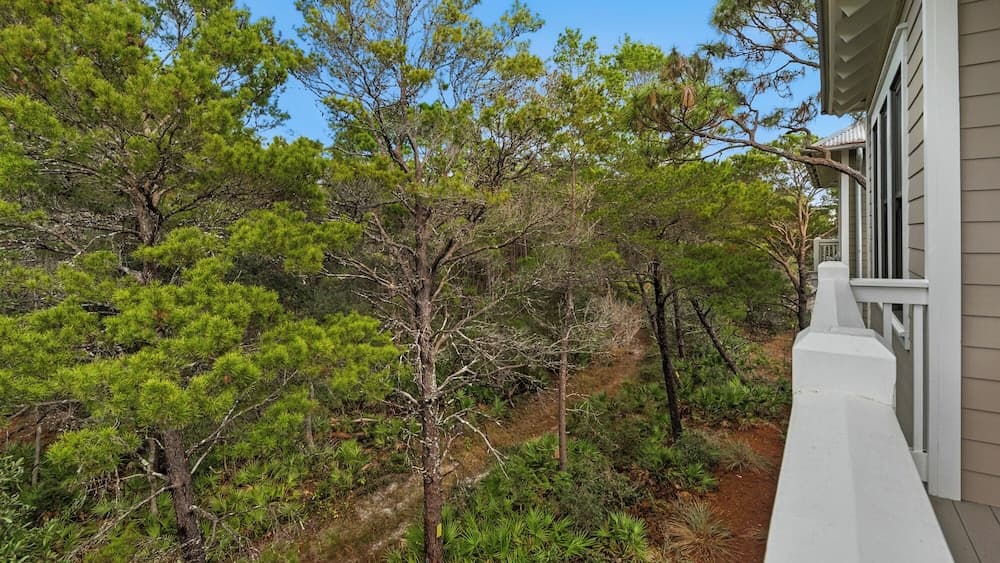 Ocean Park - Image 2