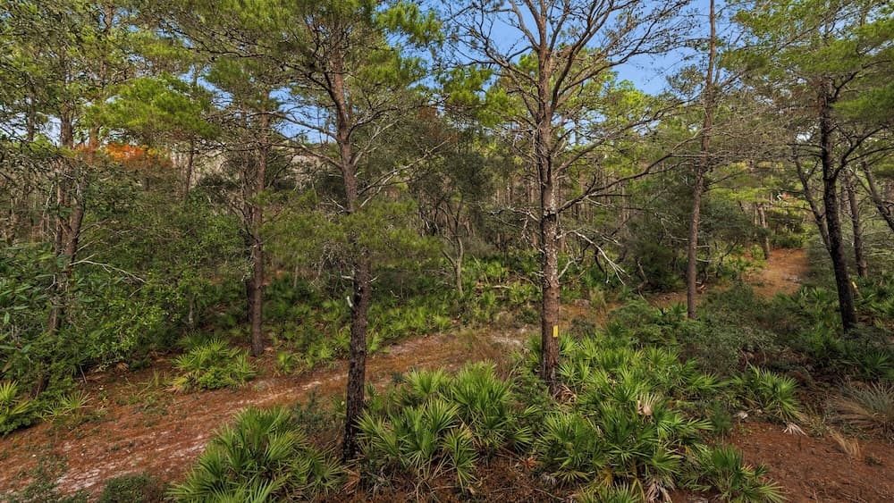 Ocean Park - Image 41