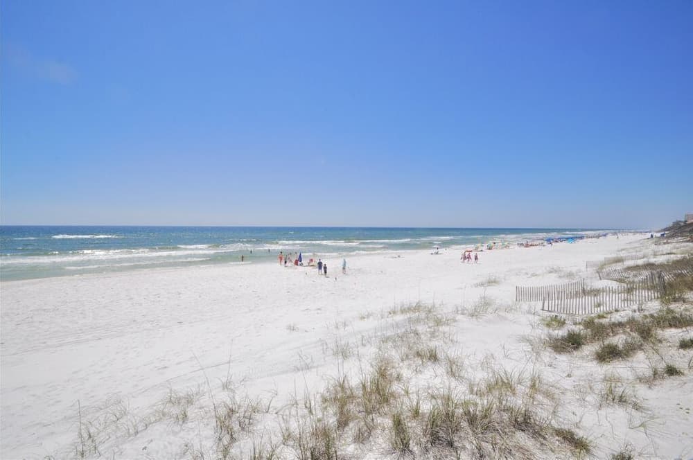 Ocean Park - Image 49