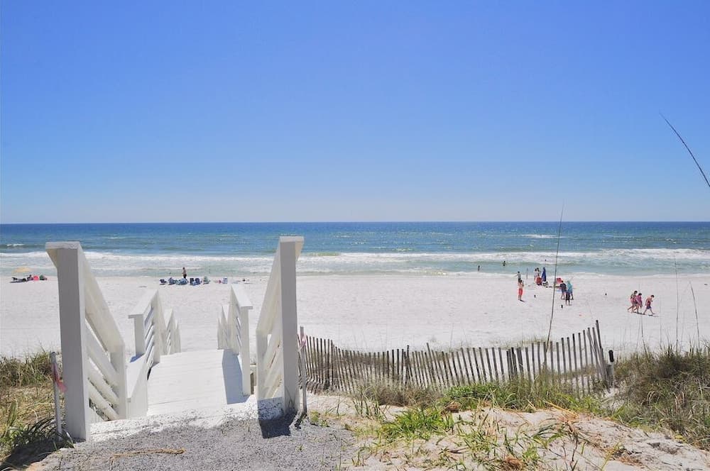 Ocean Park - Image 50