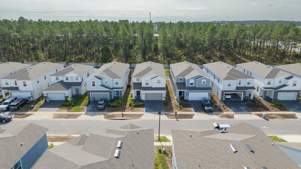 Windsor Island #4432 - Image 3