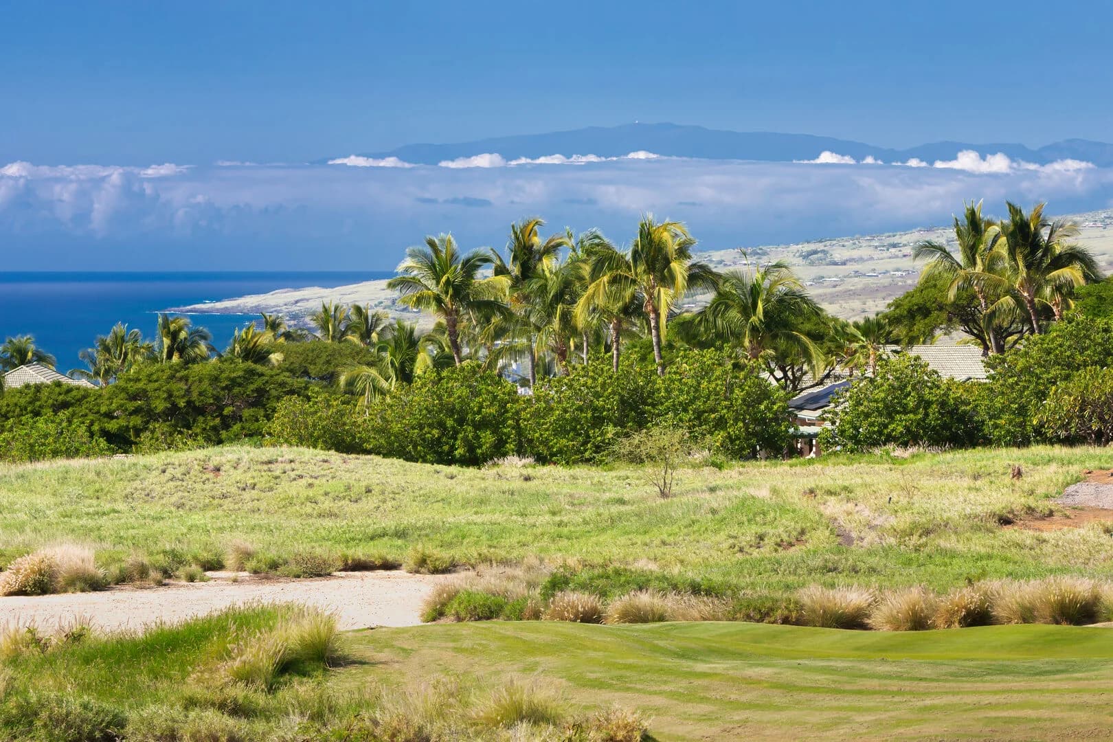 Hale Kailani - Image 56