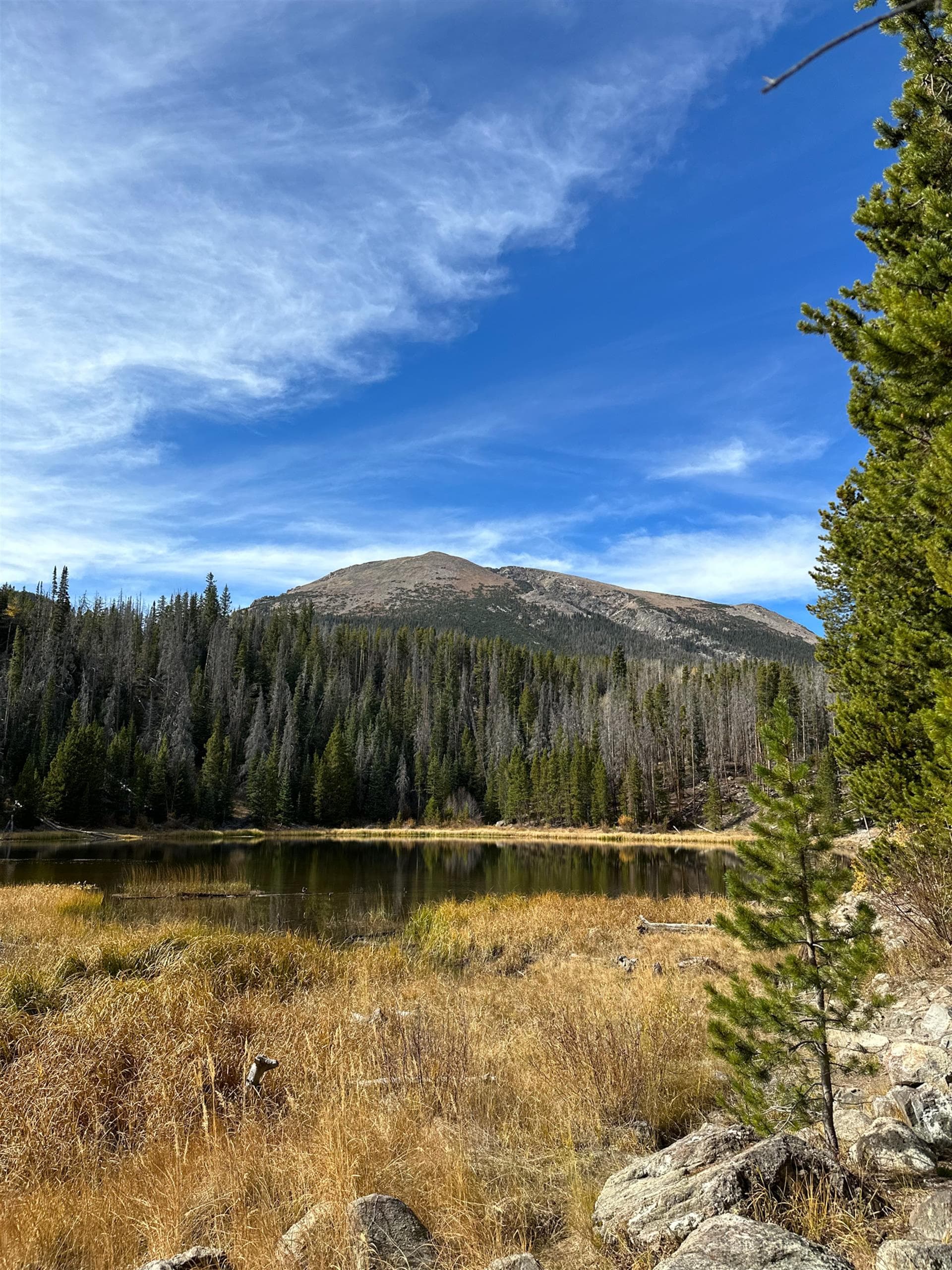 Watch Hill - Image 35