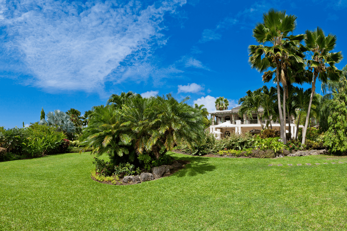 Beautiful Eden - Image 16