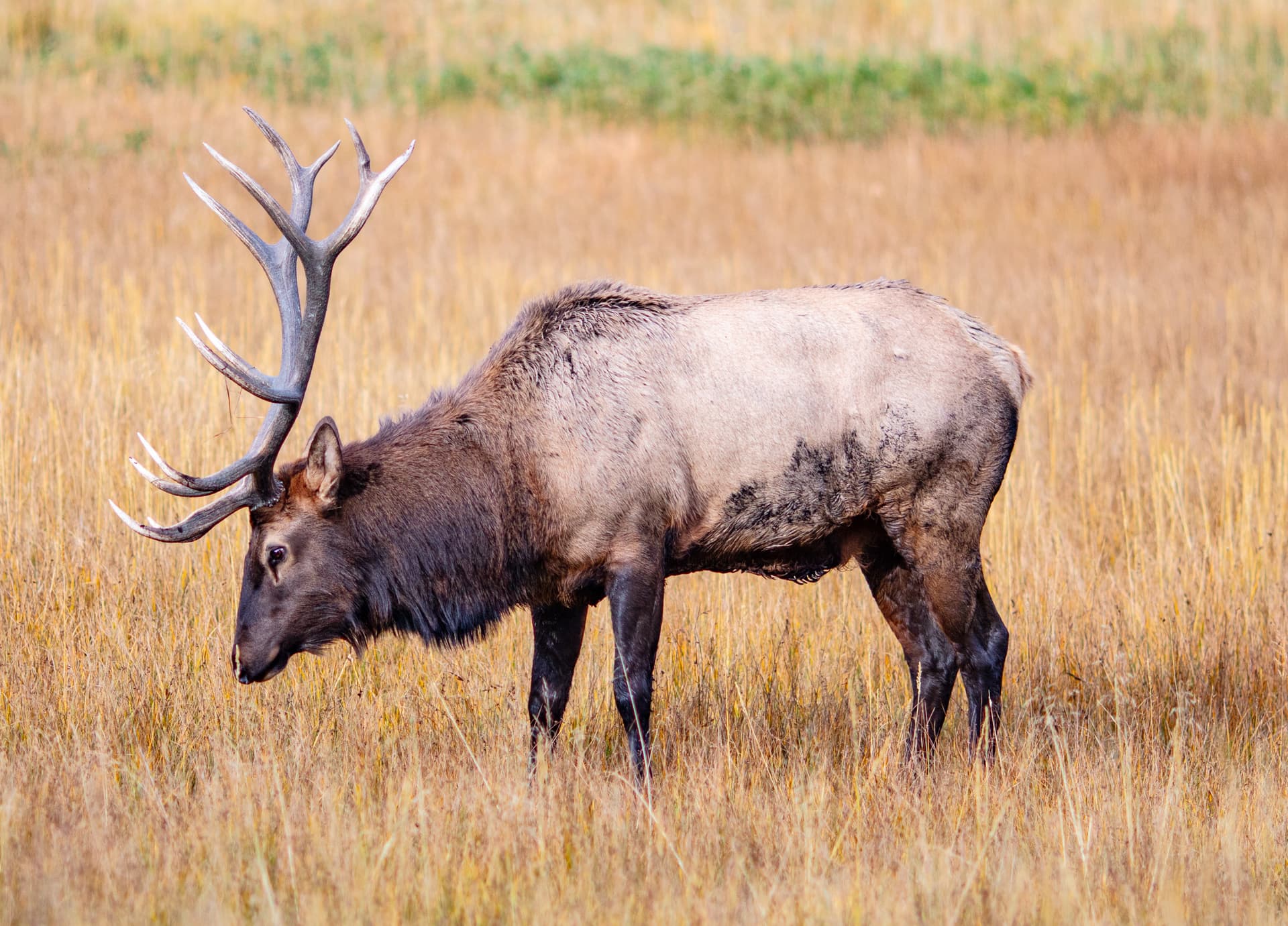 Mountain Solitude - Image 29