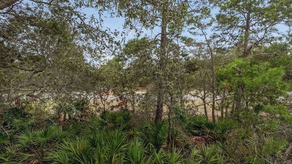 Grayt Tides - Image 55