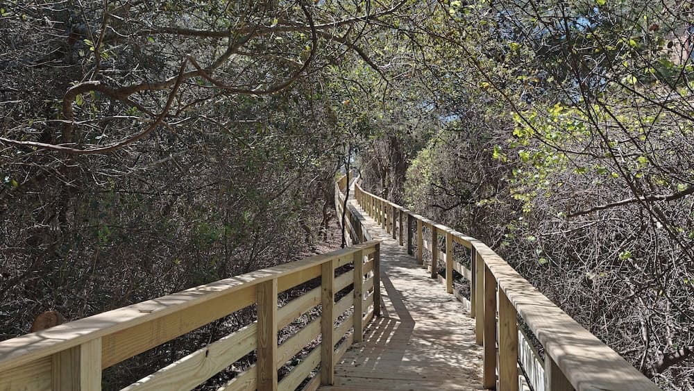 Grayt Tides - Image 2