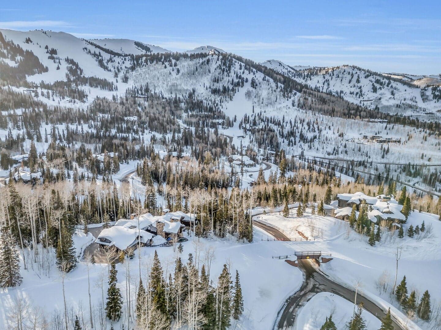 Snow Meadow - Image 60