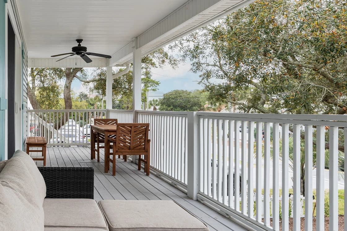 Dolphin Days - Image 22