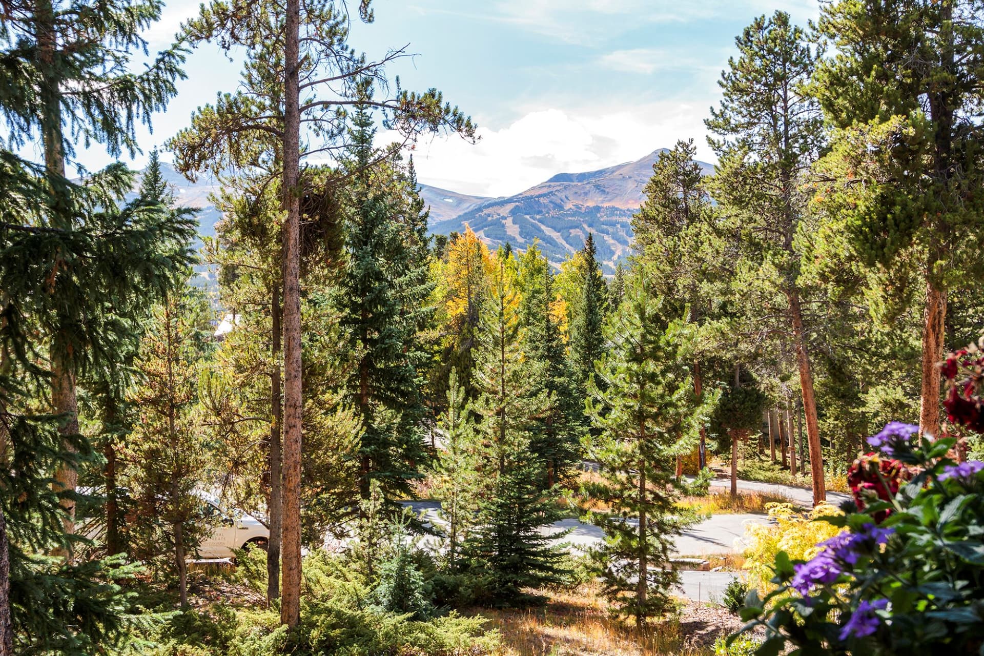 Royal Tiger Retreat - Image 36