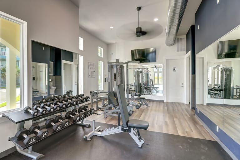 Palmilla Amore - Image 63