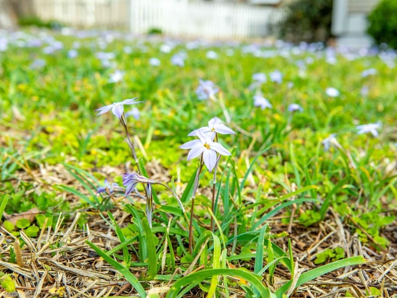 Cora Home #403 - Image 23