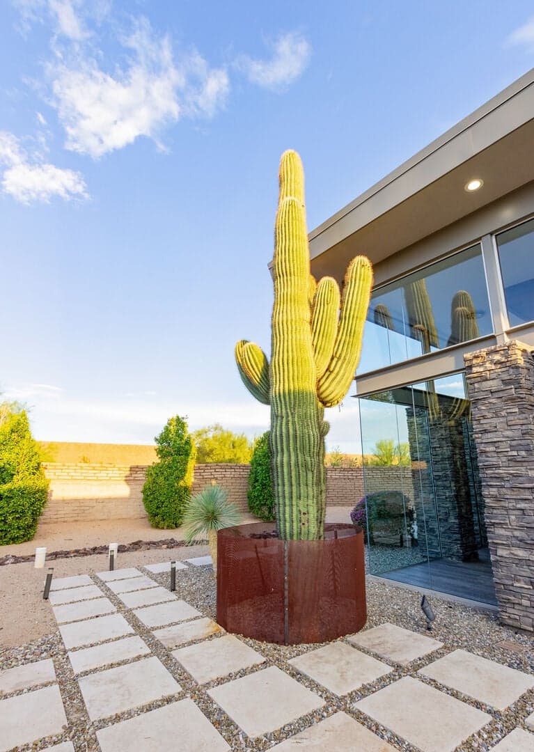 Whispering Wind - Image 100