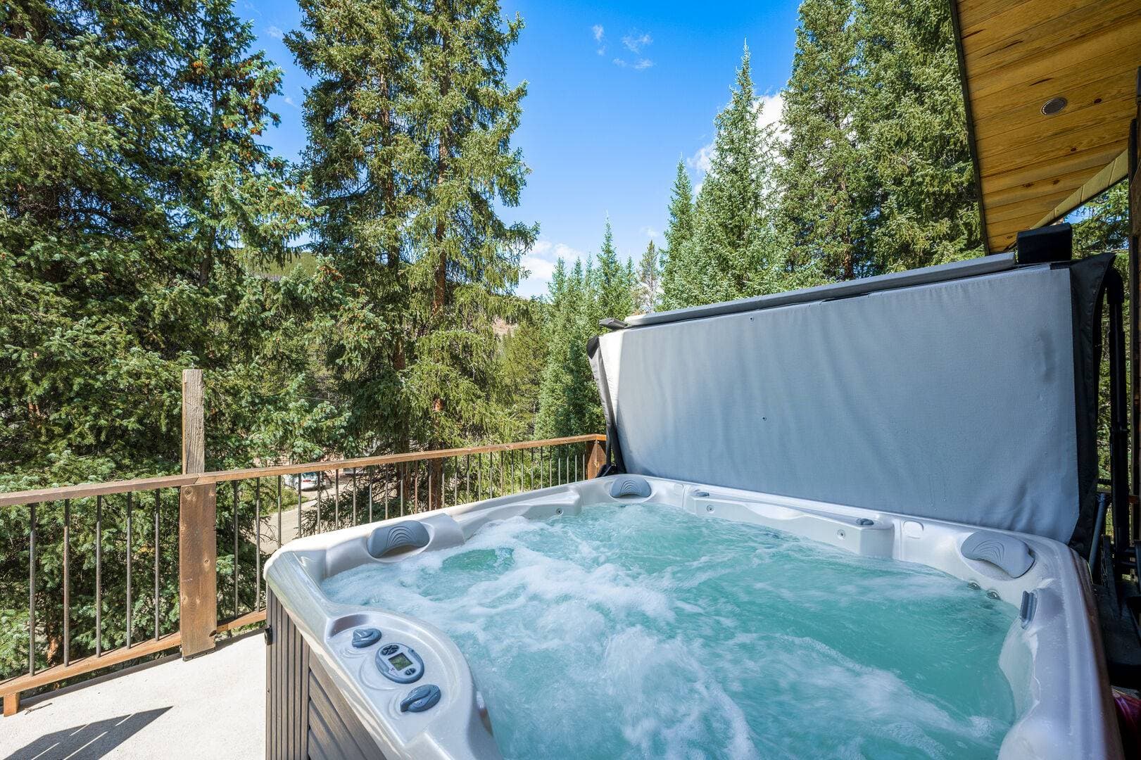 Mountain Manor - Image 58